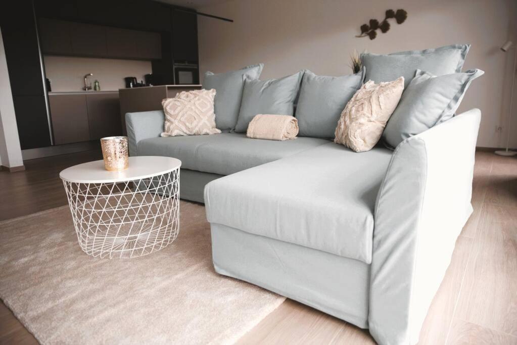 Beautiful Stylish 2Br Apartment In Kirchberg ルクセンブルク エクステリア 写真