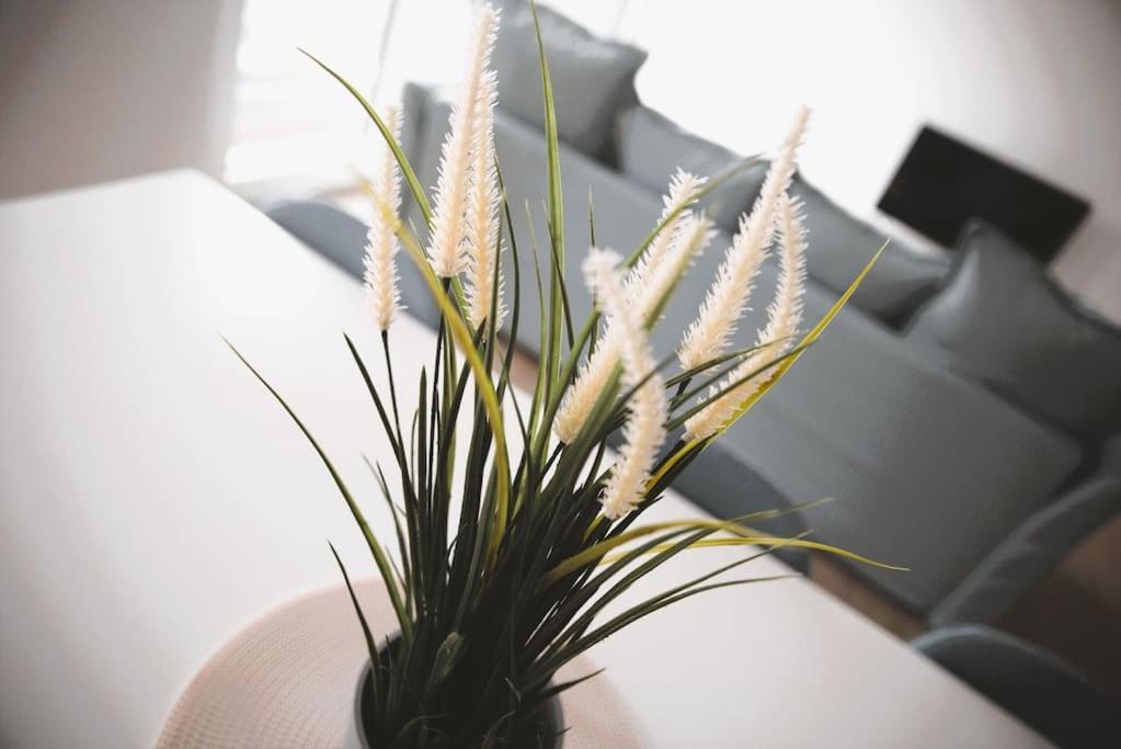 Beautiful Stylish 2Br Apartment In Kirchberg ルクセンブルク エクステリア 写真