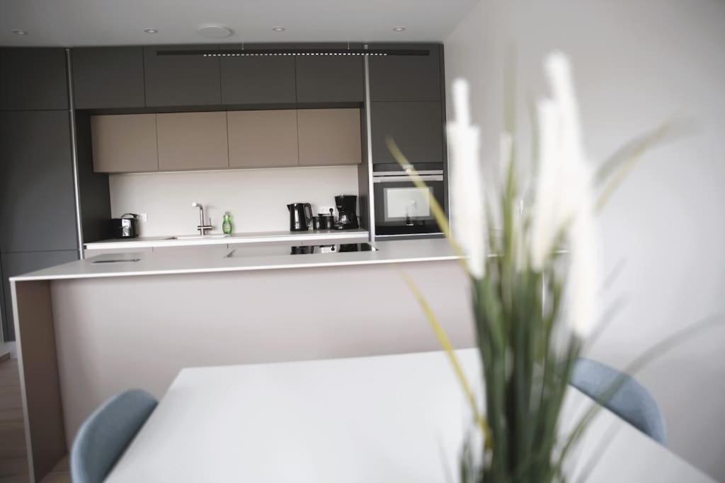 Beautiful Stylish 2Br Apartment In Kirchberg ルクセンブルク エクステリア 写真